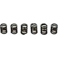 Clutch spring kit (6) CSK071