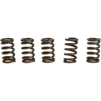 Clutch spring kit (5) CSK078