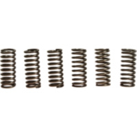 Clutch spring kit (6) CSK081