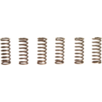 Clutch spring kit (6) CSK049