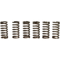 Clutch spring kit (6) CSK080