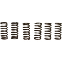 Clutch spring kit (6) CSK104