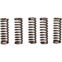 Clutch spring kit (5) CSK123