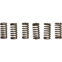 Clutch spring kit (6) CSK111
