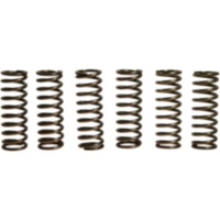Clutch spring kit (6) CSK119