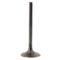 Valve exhaust 2844061