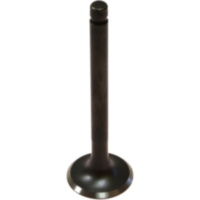 Exhaust valve