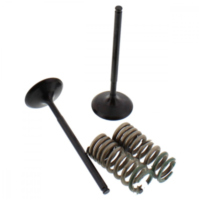 Inlet valve and spring set 28SIS13402