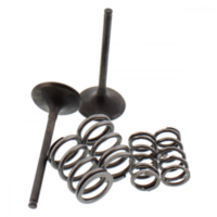 Inlet valve and spring set 28SIS44062