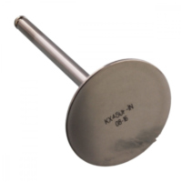 Valve intake 2844162