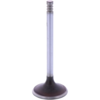 Intake valve 1134092