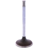 Intake valve 1134903