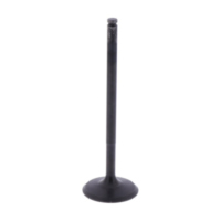 Intake valve (orig spare part) 1009403