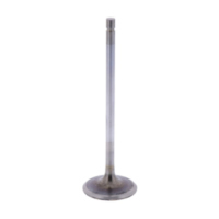 Intake valve (orig spare part) 1009526