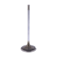 Intake valve (orig spare part) 1009529