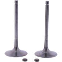 Intake valve kit (orig spare part)