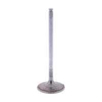 Intake valve (orig spare part) 1009547