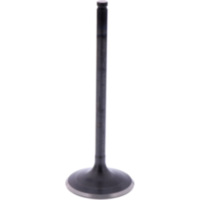 Intake valve (orig spare part) 1009570