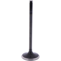 Intake valve (orig spare part) 1009591
