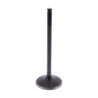 Intake valve (orig spare part) 1009595