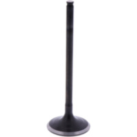 Intake valve (orig spare part) 1009602