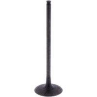 Intake valve (orig spare part) 1009775