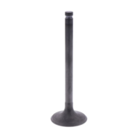 Intake valve (orig spare part) 1013092