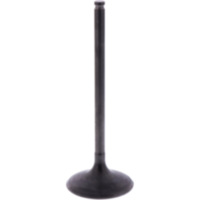 Intake valve (orig spare part) 1013095