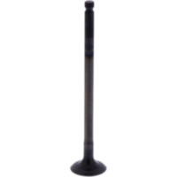 Intake valve (orig spare part) 1013133