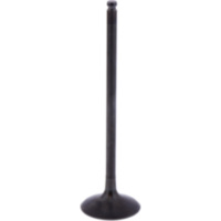 Intake valve (orig spare part) 1013168