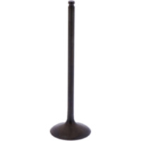 Intake valve (orig spare part) 1013169