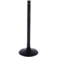 Intake valve (orig spare part) 1013183