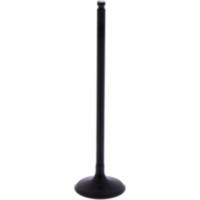 Intake valve (orig spare part) 1013203