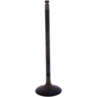 Intake valve (orig spare part) 1013204