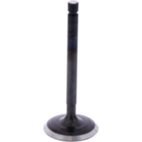 Intake valve (orig spare part) 1013234