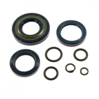 Engine oil seal kit 6651