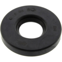 Shaft seal 12010813B