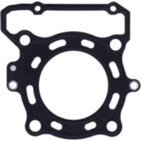 Cylinder head gasket athena 282109