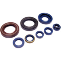 Engine oil seal kit P4002204001271