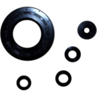 Engine oil seal kit P400210400060