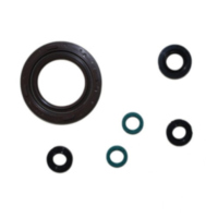 Engine oil seal kit P400485400158