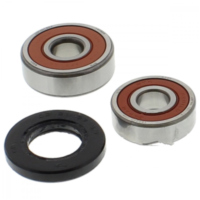 Wheel bearing and seal kit WBK020