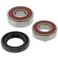 Wheel bearing and seal kit WBK021