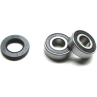 Wheel bearing and seal kit WBK291