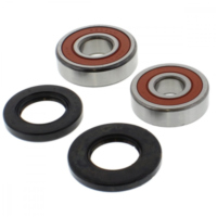 Wheel bearing and seal kit WBK066