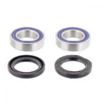 Wheel bearing and seal kit 251079