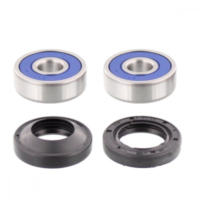 Wheel bearing and seal kit 251072