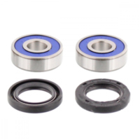 Wheel bearing and seal kit 251027