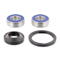 Wheel bearing and seal kit 251120