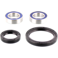 Wheel bearing and seal kit 251521